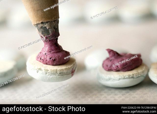22 June 2022, Saxony, Dresden: The French meringue pastry macaron is filled with a piping bag in a bakery. Photo: Sebastian Kahnert/dpa