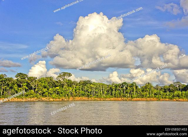 Amazon Basin, Peru, South America