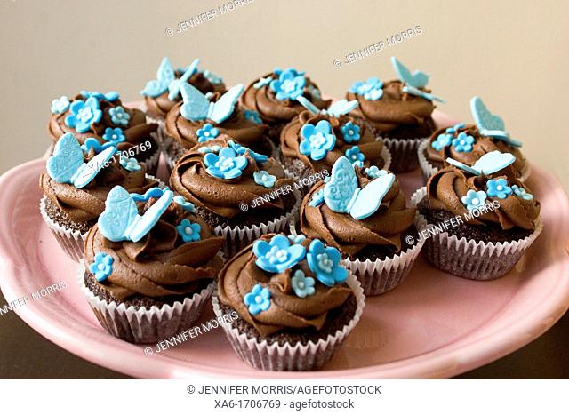 Pink plate of cupcakes with chocolate frosting swirl and blue butterfly and flower decorations on