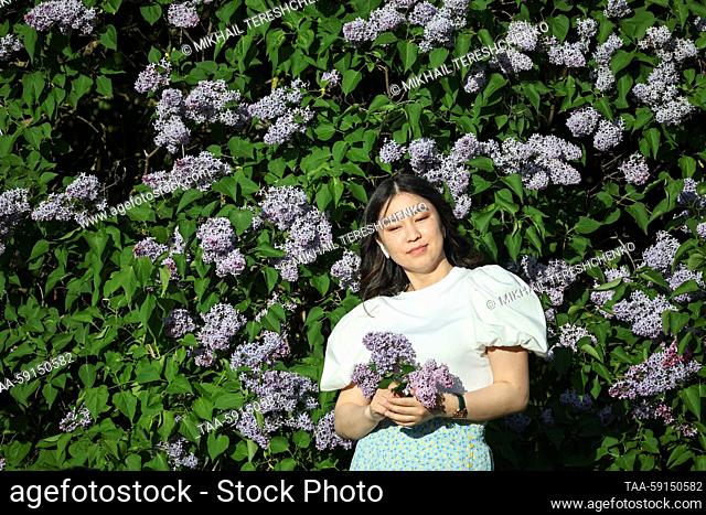 RUSSIA, MOSCOW - MAY 17, 2023: A woman poses for a photograph by a blooming lilac tree at the Kolomenskoye Museum-Reserve. Mikhail Tereshchenko/TASS