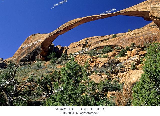 Landscape Arch, Devils Garden Trail Arches National Park, Utah, USA