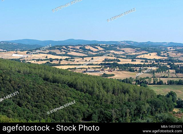 Fields and olive groves in Tuscany, Sasso d'Ombrone, Grosseto province, Tuscany, Italy