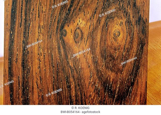 Brazilwood, Pernambuco tree, Nicaragua wood (Caesalpinia echinata), wood