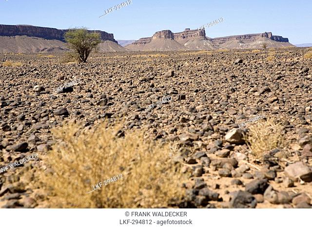 Stone desert near Agdz, South of Morocco