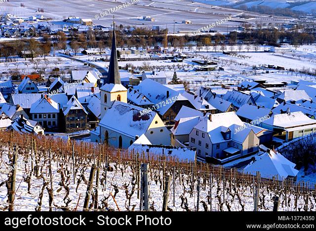 Wine village Escherndorf amid the vineyards on the Volkacher Mainschleife in winter, Unterfanken, Bavaria, Germany