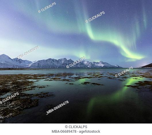 Northern lights is reflected on the icy shore. Spaknesora naturreservat, Djupvik, Lyngenfjord, Lyngen Alps, Troms, Norway, Lapland, Europe