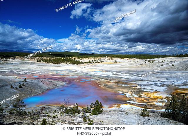 USA, Wyoming, Yellowstone National Park, Norris Geyser Basin UNESCO World Heritage List