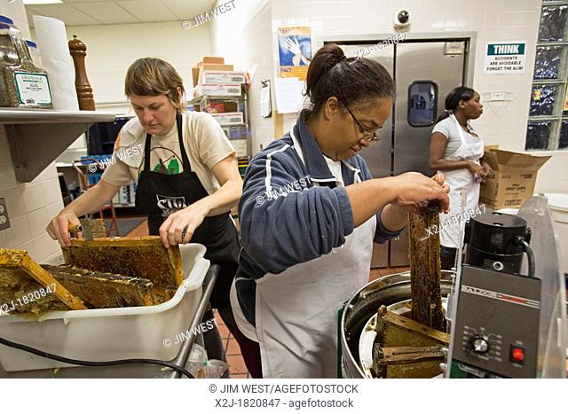Detroit, Michigan - Volunteers extract honey at Earthworks Urban Farm, a program of the Capuchin Soup Kitchen