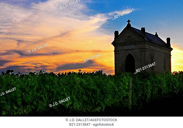 Old chapel in the vineyards of Chateau Canon Monsegur by Castillon la Bataille, Bordeaux wines district, Gironde, Aquitaine, France