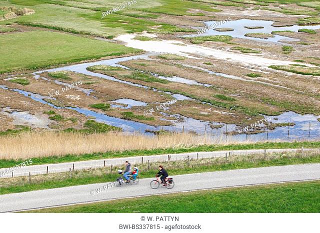 cyclists on path between dyke and marsh meadows, Netherlands, Oosterschelde National Park