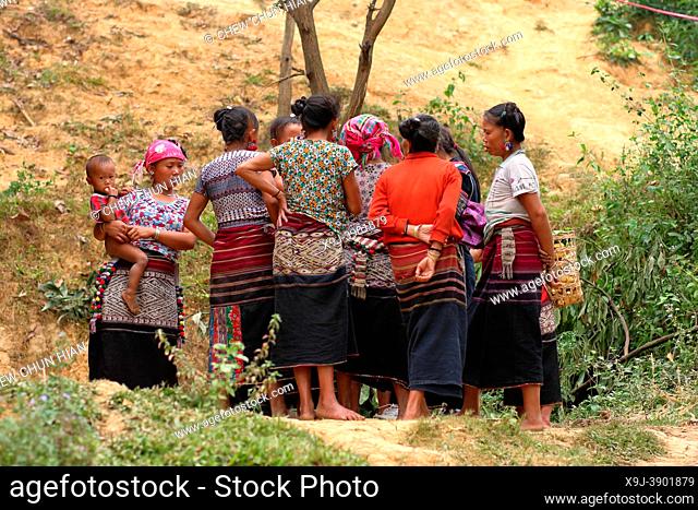 Black Hmong woman gathering in the village of Lao Chai near Sapa, Vietnam, Asia