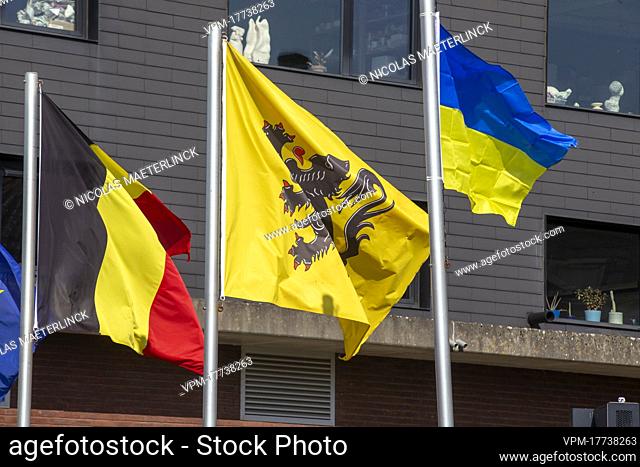 a Ukrainian flag is raised at the Zottegem city hall on Friday 04 March 2022, in support of the Ukrainian population after the country was invaded by Russia