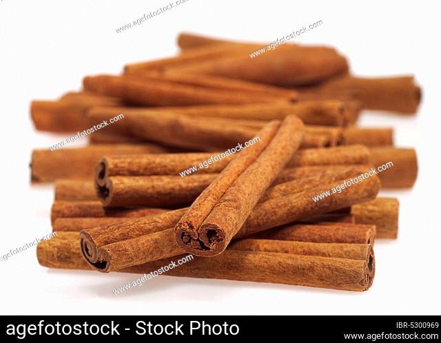 Cinnamon (cinnamomum zeylanicum), Bark against White Background