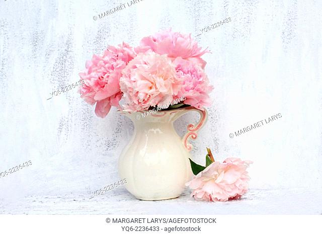 Beautiful pink peonies on white background, still life