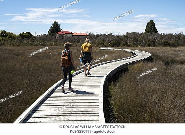 Walking path in Okarito, South Island, New Zealand