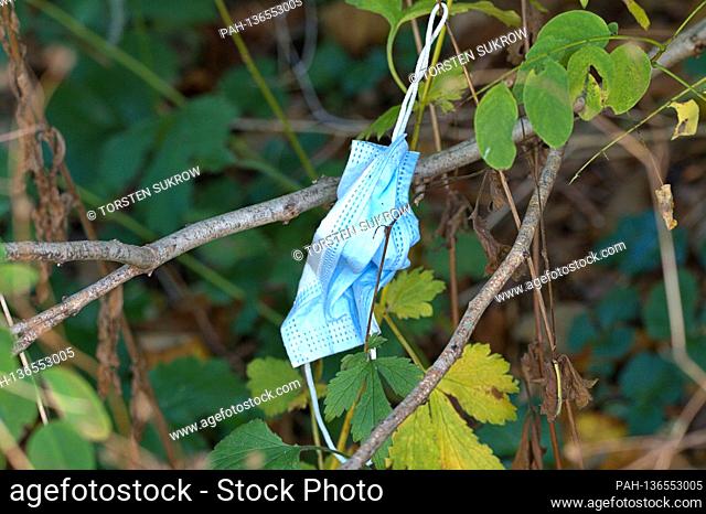 10/17/2020, Schleswig, a lost or carelessly thrown away, used mouth and nose mask in the bushes on the edge of a sidewalk. | usage worldwide