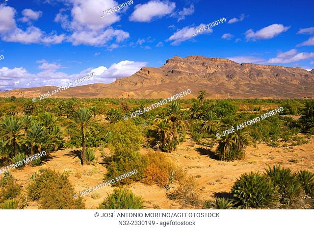 Djebel Kissane, Agdz, Palm Grove, Oasis, Draa Valley, Souss-Massa-Draa region, Valley of the Draa river, Anti Atlas, Morocco, Maghreb, North Africa