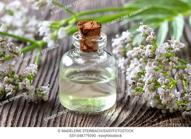 A bottle of essential oil with fresh blooming valerian twigs