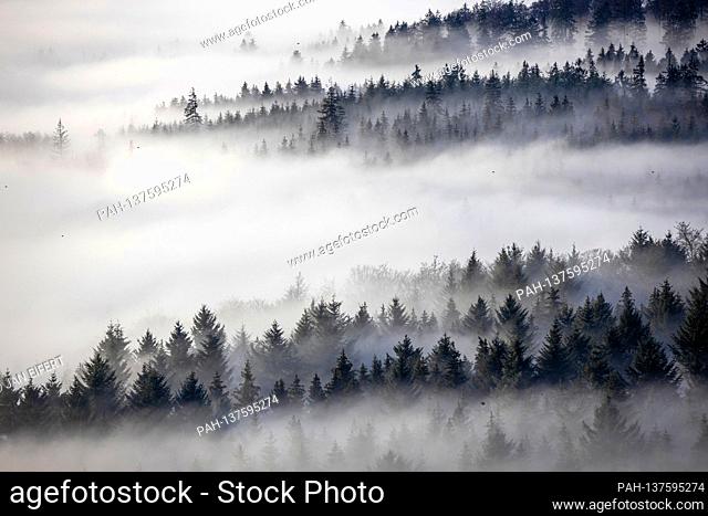 11/24/2020, Schwithten (Hessen): The high elevations of the Taunus with the Grosse Feldberg protrude from a sea of fog in the morning after sunrise