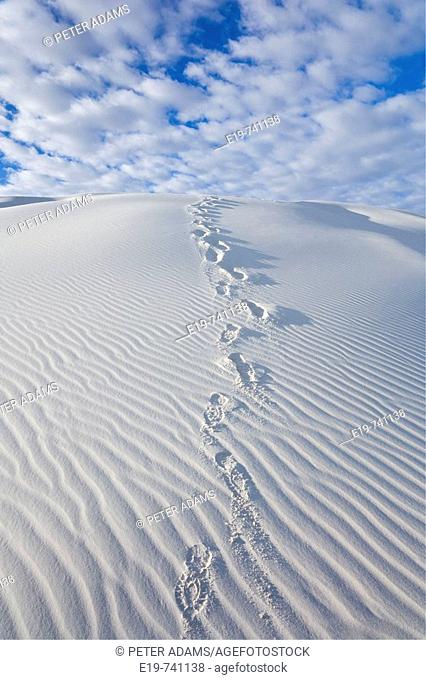 White Sands National Monument, New Mexico, USA. White gypsum sand dunes & footprints