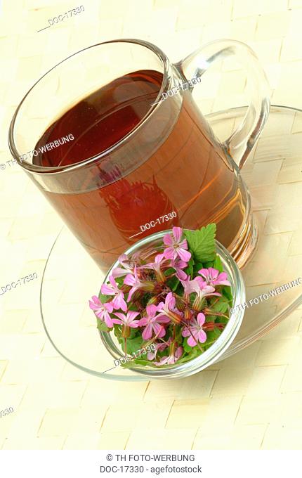 Herb Robert Tea - medicinal tea - herb - Geranium robertianum - Geranio di S. Roberto