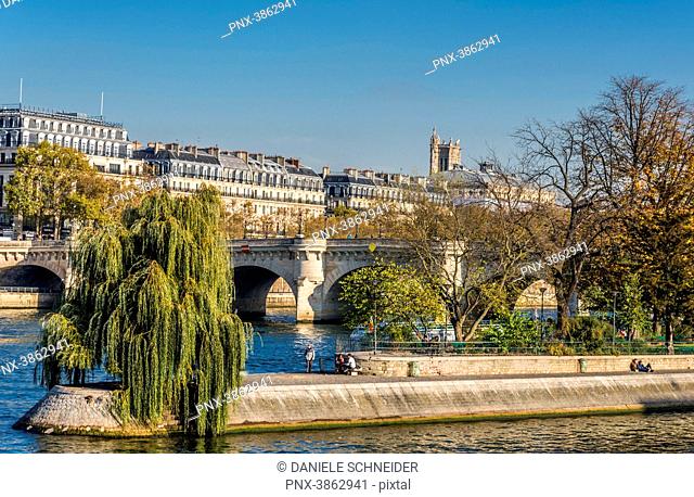 France, Paris, 1st arrondissement, the Pont Neuf on the Seine river and Square of the Vert Galant at the tip of L'Œle de la Cite
