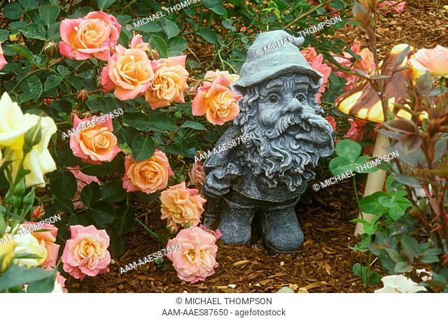 Garden Gnome and Toadstool with Rose 'Old world Charm' Miniature Rose, Heirloom Roses, St. Paul, Oregon