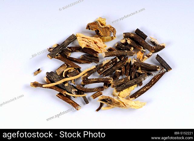 Chinese woodland vine root (Clematidis Radix), Wei Ling Xian, free-standing, object