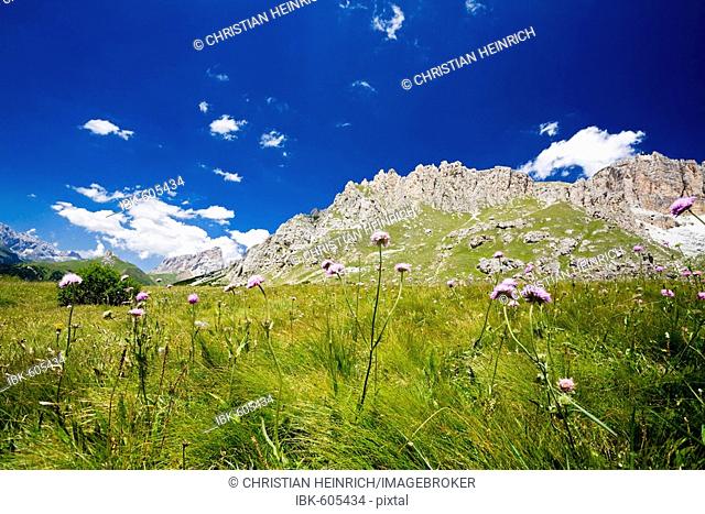 Sella group at Pordoi pass, Dolomite Alps, Dolomites, South Tyrol, Italy, Europe