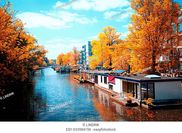 beautiful European capital Amsterdam in the summer. ancient streets and canals.Gold autumn