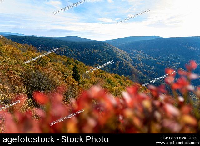 An area of the Jizera Mountains in North Bohemia known as Jizerskohorske buciny (Jizera Mts Beechwod) has been placed on the UNESCO World Heritage List in 2021