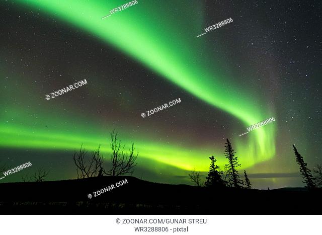Nordlicht (Aurora borealis), Norrbotten, Lappland, Schweden, Oktober 2017