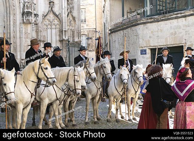 Fine white horses of the Carmague and their traditionally dressed riders assemble outside the Basilica of St Pierre, Avignon; Provence; France