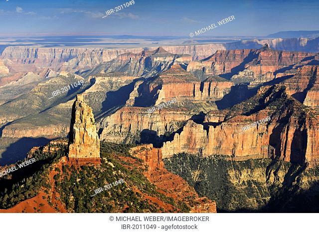 View from Point Imperial towards Mount Hayden, Coconimo Rim, Palisades of the Desert, Cedar Mountain, evening light, Grand Canyon National Park, North Rim