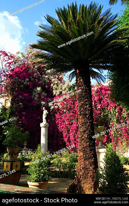 Spain, Andalucia, Seville, Casa de Pilatos, garden sculpture & palm