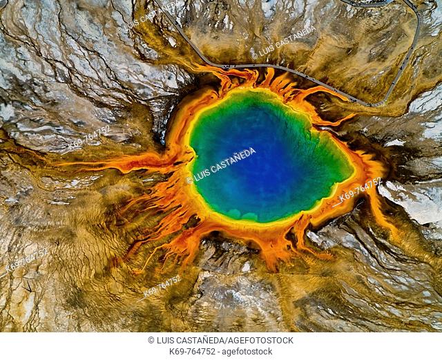 Grand Prismatic Spring  Midway Geyser Basin  Yellowstone National Park  Wyoming  USA  Considered to be the largest hot spring in Yellowstone  Discharges about...