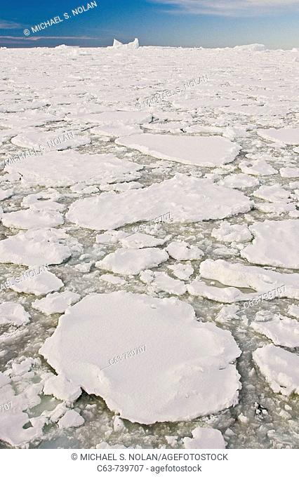 Broken first year floe ice mixed with brash ice below the Antarctic Circle around the Antarctic Peninsula during the summer months  More icebergs are being...