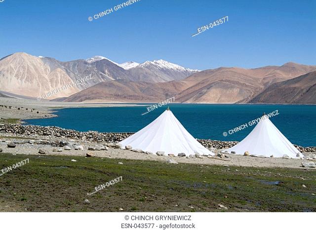 Ecotourism, camping site on shore of Pangong lake, Spanmik village, Chang Thang, North East Ladakh, Indo-Chinese Tibetan border, Himalayas, India