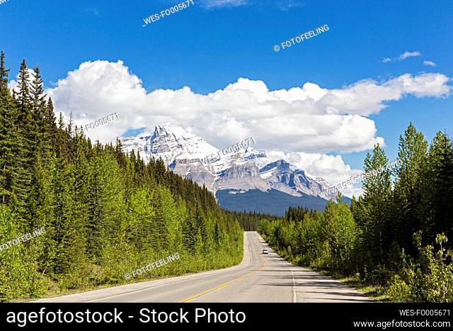 Canada, Alberta, Jasper National Park, Banff National Park, Icefields Parkway, Mount Wilson