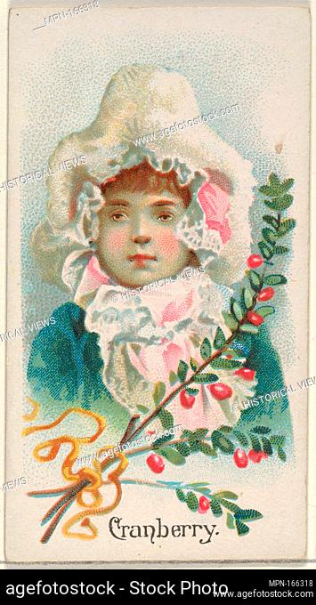 Cranberry, from the Fruits series (N12) for Allen & Ginter Cigarettes Brands. Publisher: Issued by Allen & Ginter (American, Richmond