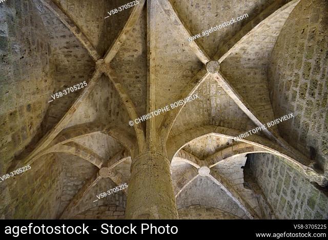 France, Aude, Queribus castle, The dungeon, Salle du pilier (pillar room)