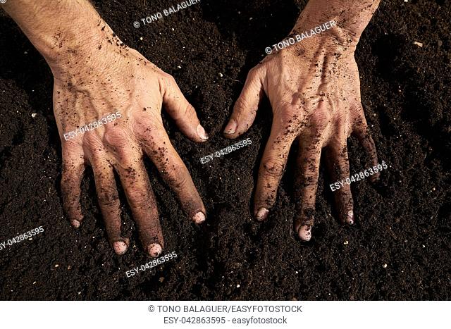 Farmer man hands dirty on substratum of urban garden orchard