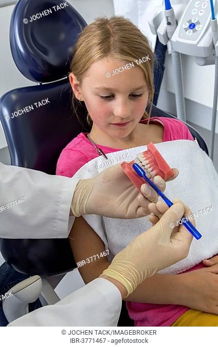 Dentist showing a girl the proper use of a toothbrush, Germany