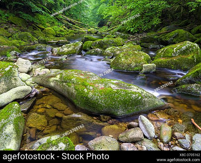 Valley of river Wolfsteiner Ohe (Buchberger Leite) in the Bavarian Forest. Europe, Germany, Bavaria