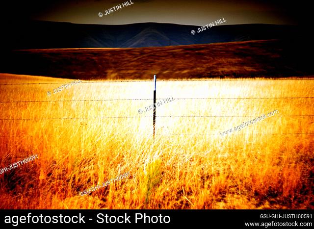 Rural Meadow Landscape illuminated by Sunlight