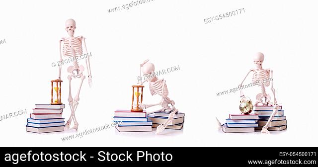 The skeleton reading books on white