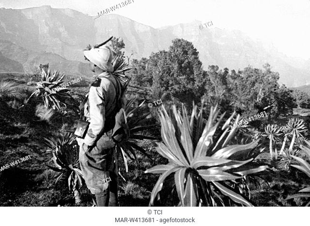 africa, ethiopia, vegetation of the region mesciaha, 1920-30