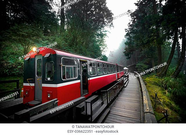 Alishan forest train railway is famous for tourist attraction
