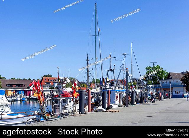 Fishing boats in the harbor, Niendorf, Timmendorfer Strand, Lübeck Bay, Baltic Sea, Schleswig-Holstein, Germany, Europe