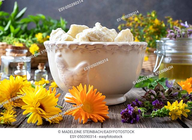 Raw unrefined shea butter in a vintage bowl with medicinal herbs and essential oils in the background - ingredients to prepare a homemade skin cream
